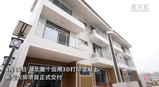 湖北首個應(yīng)用3D打印混凝土新型農(nóng)房項目正式交付